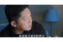 缙云要账公司更多成功案例详情